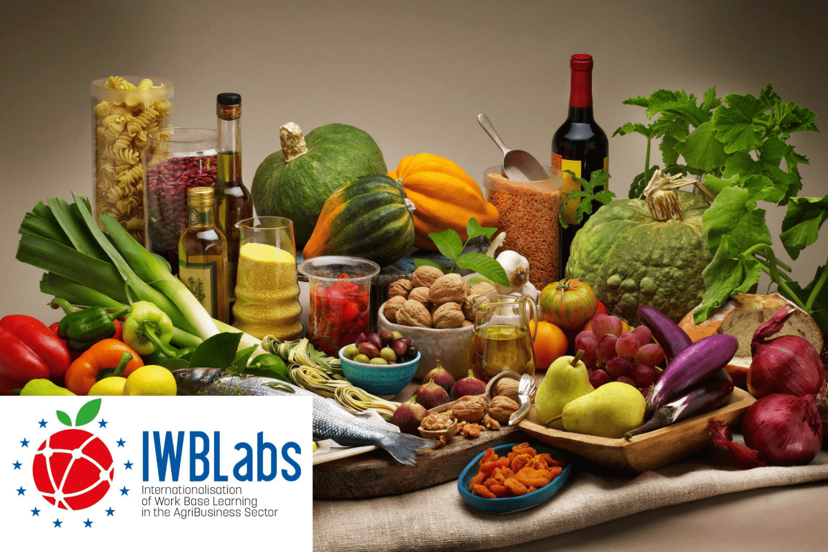 ITS Agroalimentare Teramo - Progetto IWBLabs